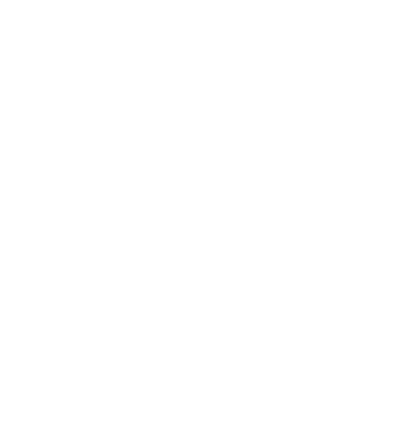 Ducks Village Logo in footer